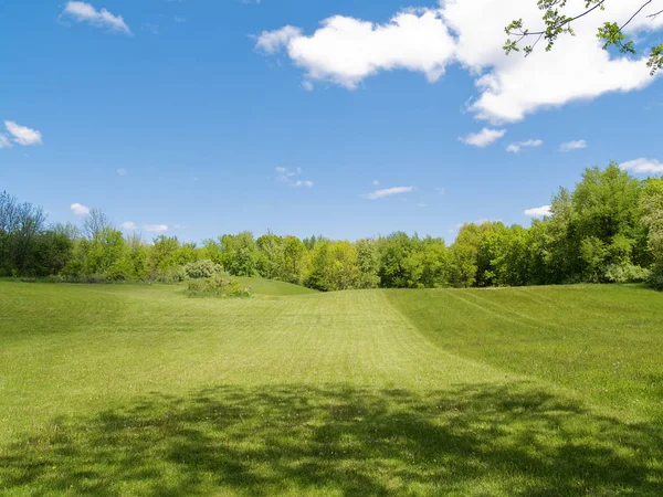 Campo Soleado Hermoso Sol Del Mediodía Hierba Verde Profundo Bien —  Fotos de Stock