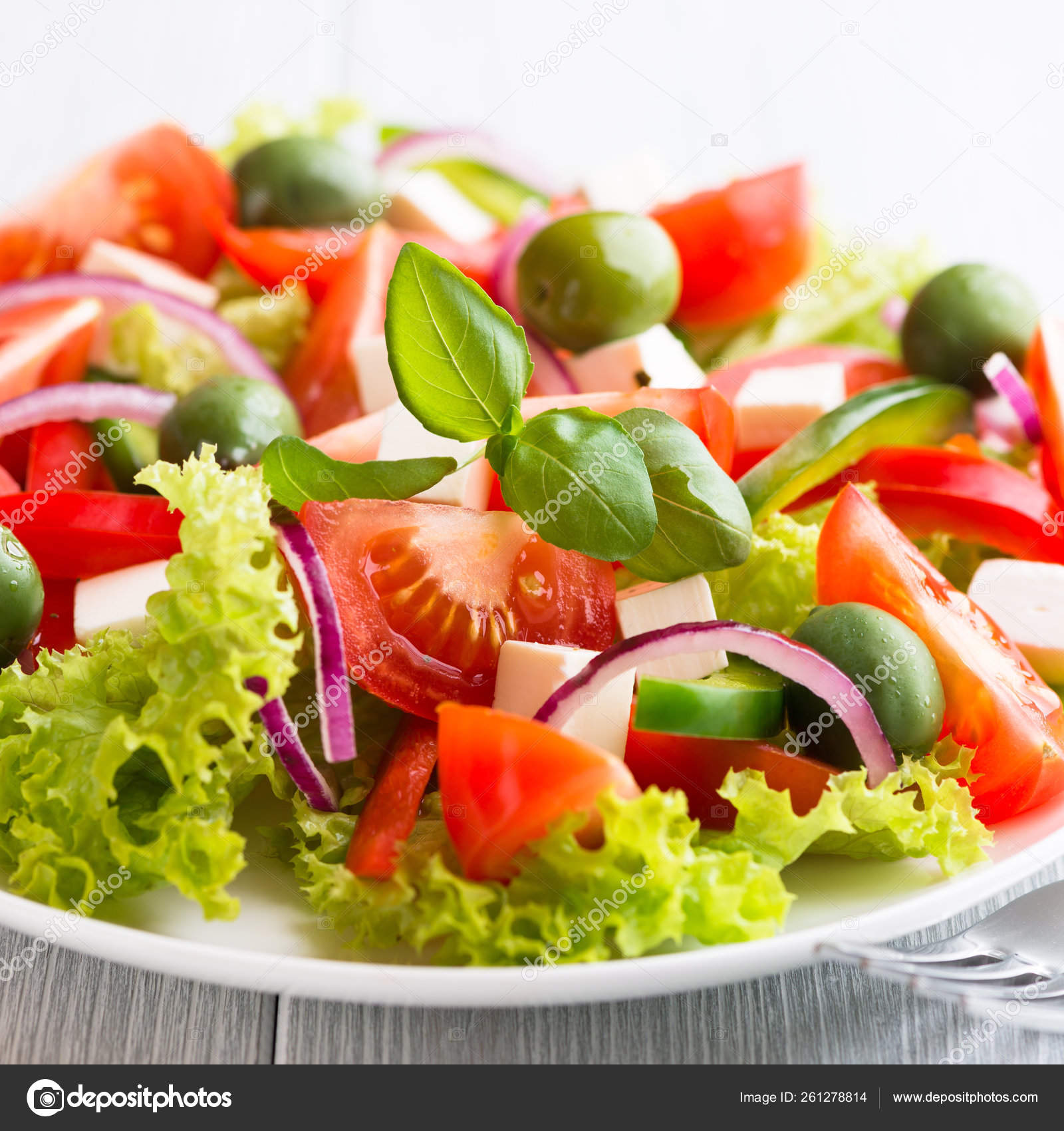 Блюда из сырых овощей. Салат. Салат овощ. Красивый салат из овощей. Свежий овощной салат.