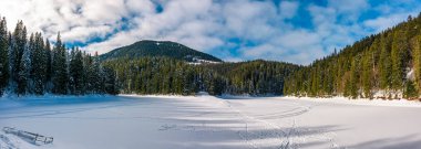 panorama of ice covered Synevyr lake in winter. Gorgeous location in forested Carpathian mountains clipart
