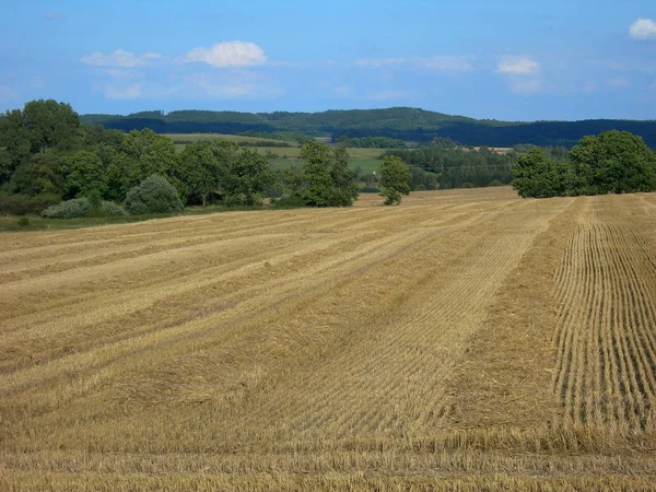 Weizenfeld Kurz Nach Der Ernte Und Blauer Himmel — Stockfoto