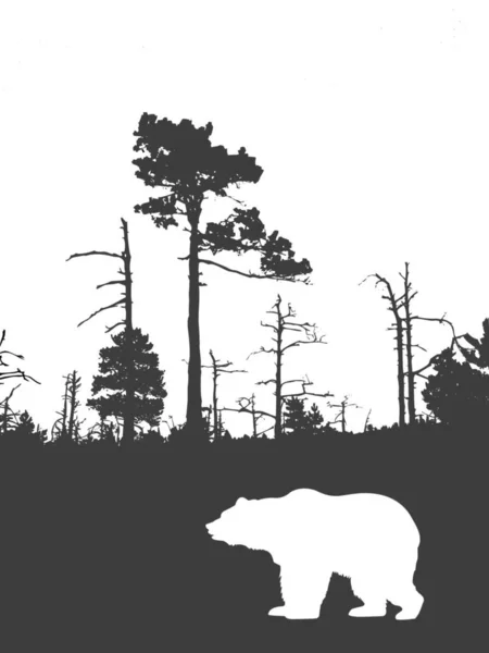 Silhouette Bear Background Wild Wood — Stock Photo, Image