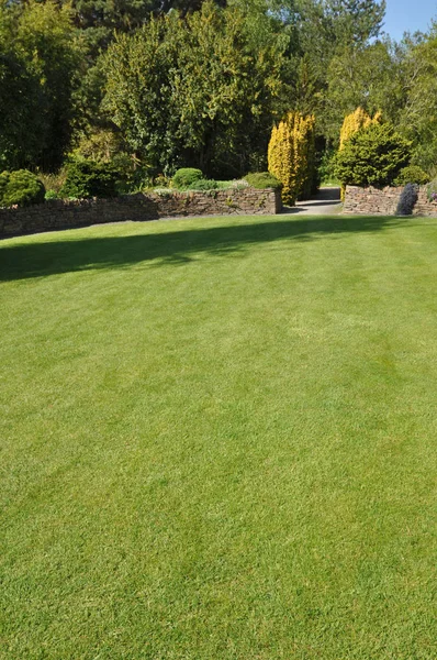 정원에서 아름다운 잔디밭 Rhs 로즈무어 토링턴 잉글랜드에서 — 스톡 사진