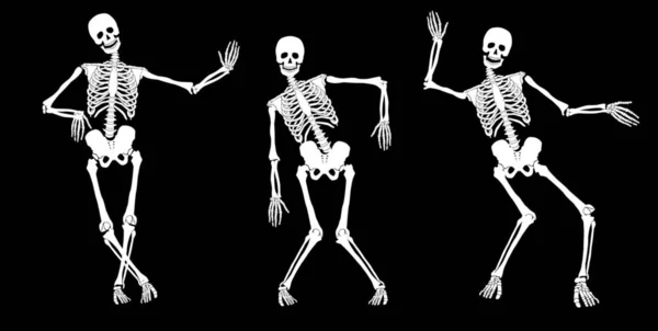 Esqueletos Blancos Borrachos Sobre Negro Set Vector — Foto de Stock