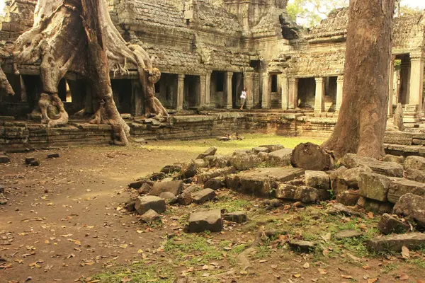 Preah Khan Tempel Angkor Området Siem Reap Kambodja — Stockfoto