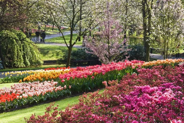 Wunderschöner Frühlingsgarten April Mit Blühenden Kirschbäumen Tulpen Und Azaleen — Stockfoto