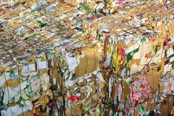 Compressed paper and cardboard prepared for industrial ecological recycling
