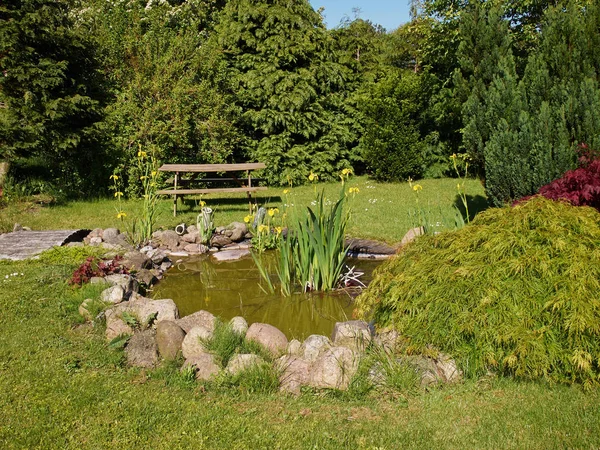 Schönen Klassischen Garten Fischteich Umgeben Von Gras Garten Hintergrund — Stockfoto