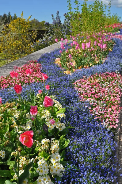 Colourful flowerbed in an English style garden. Taken at RHS Rosemoor, Torrington, North Devon, England