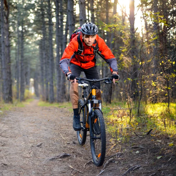 Kerékpáros Lovaglás Bike Trail Erdőben Extrém Sport Koncepció — Stock Fotó
