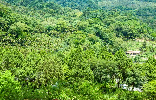 昼間の山 — ストック写真