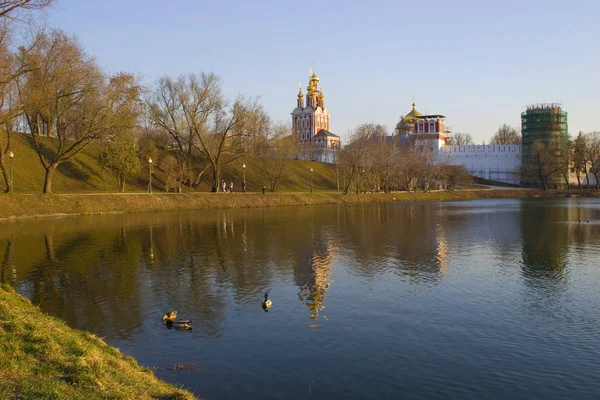 Парк Городе Дикая Утка Плавает Пруду Весной Москва Россия — стоковое фото