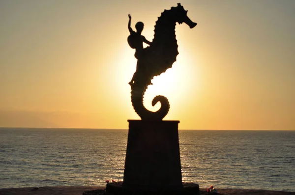 Caballo Mar Escultura Largo Del Malecón Convertido Símbolo Puerto Vallarta —  Fotos de Stock