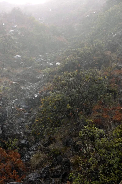 Foggy Morning Early Foggy Morning High Mountains — Stock Photo, Image