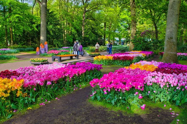 Keukenhof Ολλανδία Mai 2014 Πολύχρωμο Ροζ Κόκκινο Και Κίτρινο Τουλίπες — Φωτογραφία Αρχείου