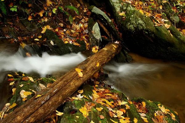 Log Creek Fall Year — Stock Photo, Image