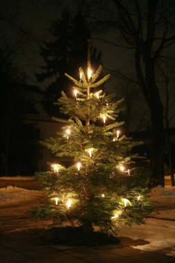 xmastree at night with snow and electric candles, very shallow DOF!............ clipart