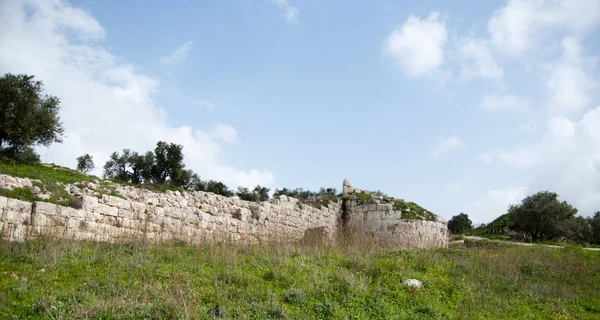 Sebastia Excavación Del Antiguo Israel Territorio Palestino — Foto de Stock