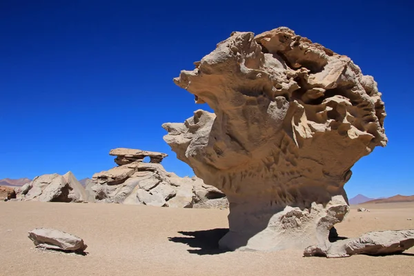 Ünlü Rock Oluşumu Taş Ağaç Veya Arbol Piedra Güneybatı Bolivya — Stok fotoğraf