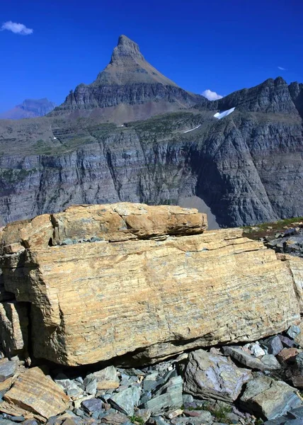 Гора Рейнольдс Logans Pass Національний Парк Льодовик Монтана — стокове фото