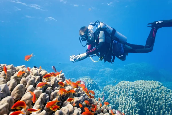 Fotógrafo Escena Del Arrecife Bajo Agua —  Fotos de Stock