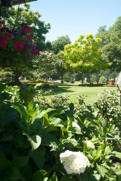 Butchart Garden Victoria British Columbia — Stock Photo, Image