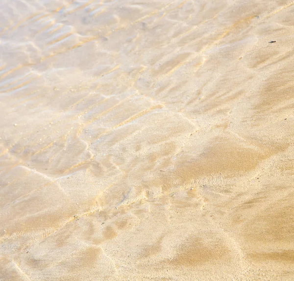 Marokko Afrika Bruin Kustlijn Natte Zand Strand Buurt Van Atlantische — Stockfoto