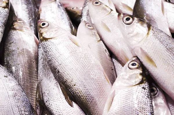 fresh milk fish sold in market of philippines