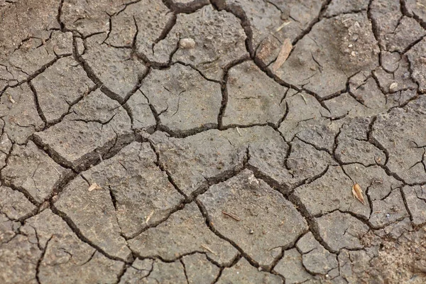Cracked Dry Mud — Stock Photo, Image