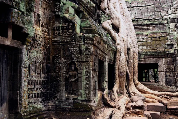 Kambodja Angkor Wat Närbild Visa — Stockfoto