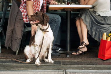 Couple Sitting With Dog At Restaurant clipart