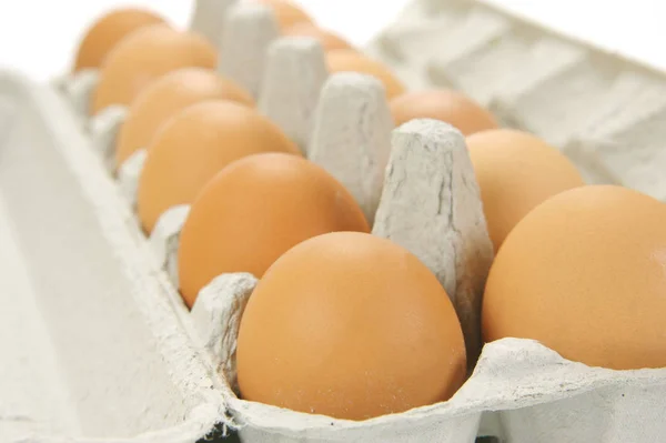 Ovos Livre Isolados Contra Fundo Branco — Fotografia de Stock