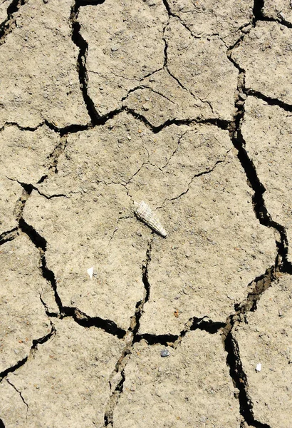 Cracked Soil Conditions Rural Thailand — Stock Photo, Image