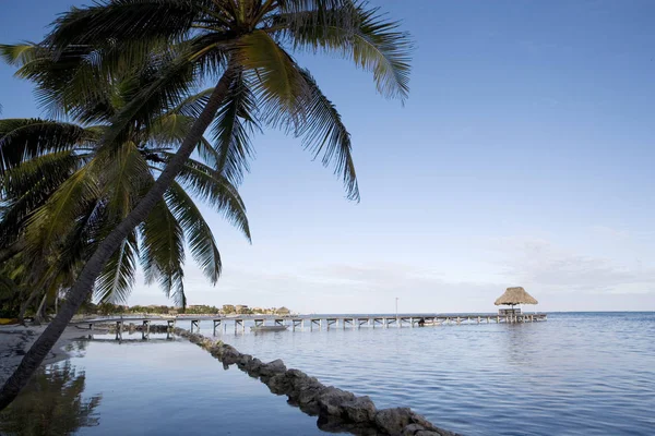 Palmeras Bordean Costa Tranquila Una Pequeña Isla Tropical Frente Costa — Foto de Stock