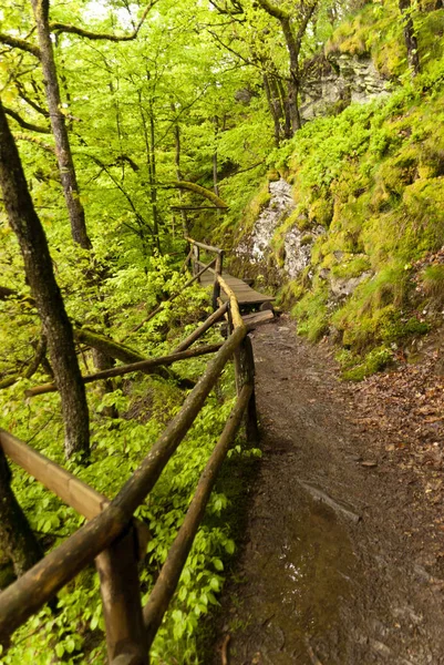 Tiking Trail Eifelsteig Eifel Németország — Stock Fotó