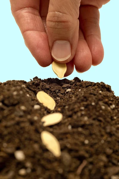 Vertical Close Shot Hand Planting Seeds Soil — Stock Photo, Image