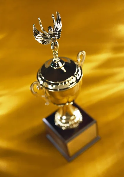 Trophäe Aus Nächster Nähe Von Oben — Stockfoto