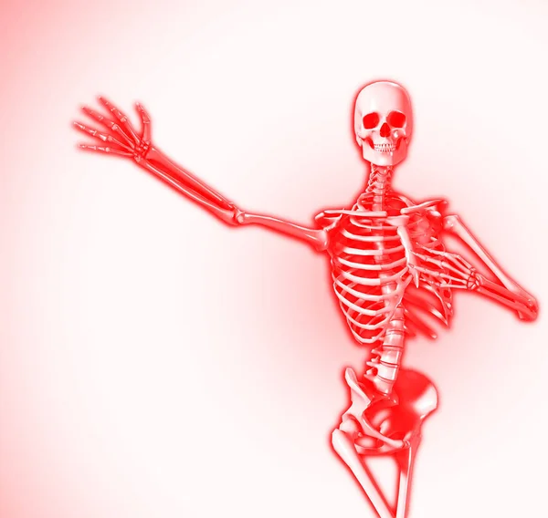 Esqueleto Com Uma Pose Braço Estendido — Fotografia de Stock