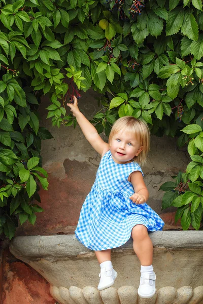 Little Blonde Girl Background Green Grape Leaves — Stock Photo, Image