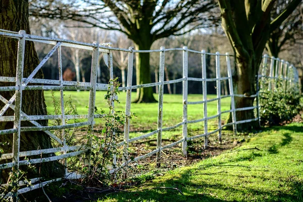 White Metal Fence Public Park Nice Sunshine — Stock Photo, Image
