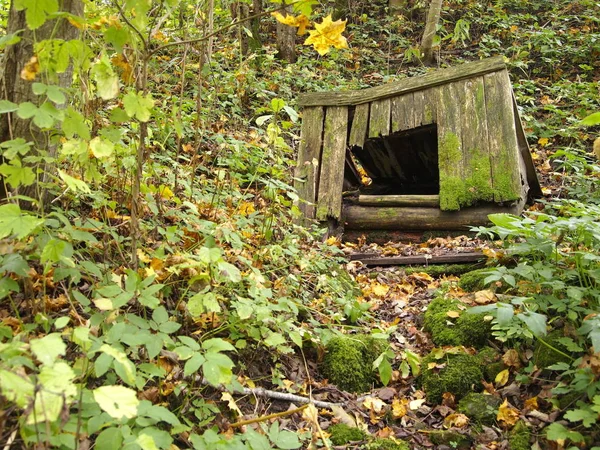 Herfst Zeer Oude Houten Draw Well — Stockfoto