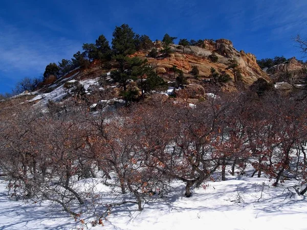 Febrero Entre Las Formaciones Rocosas Del Parque Estatal Roxborough Colorado — Foto de Stock