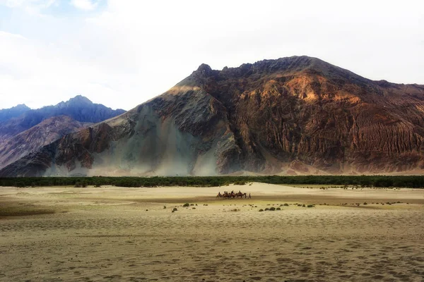 Leh Ladakh Jammu Kashmir Hindistan Daki Nubra Vadisi Nin Hunder — Stok fotoğraf