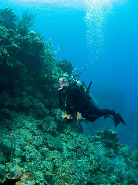 Scuba Diver Wall Búvárkodás Kajmán Szigeteken — Stock Fotó