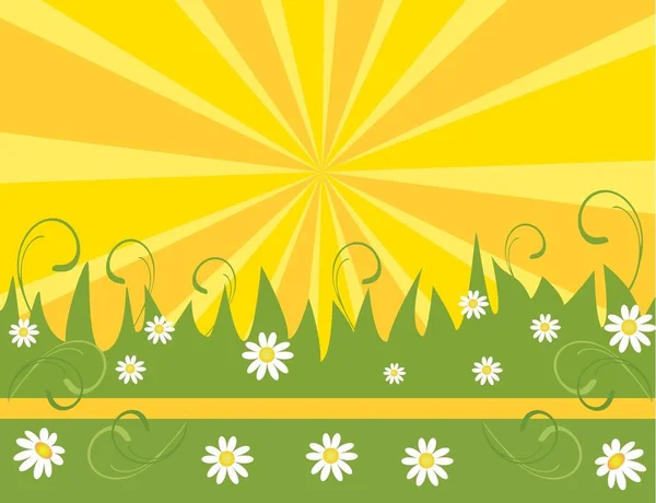 Spring Flower Background Element Design Illustration — Stock Photo, Image