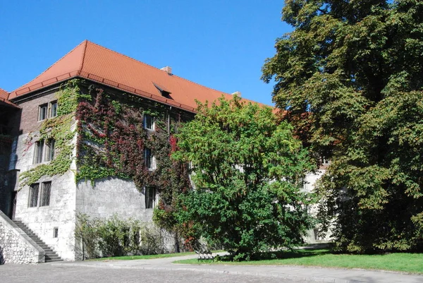 Castillo Wawel Krakow Polonia Europa — Foto de Stock