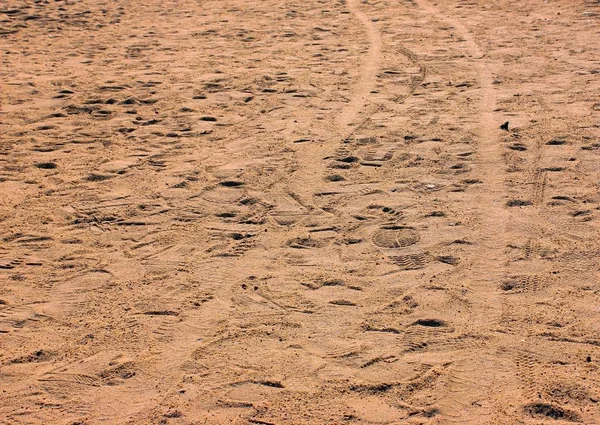 Dunas Areia Praia — Fotografia de Stock