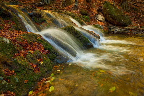 Una Pequeña Cascada Las Montañas Está Rodeada Musgo Hojas Arce — Foto de Stock