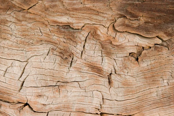 Old Wood Texture Background — Stock Photo, Image