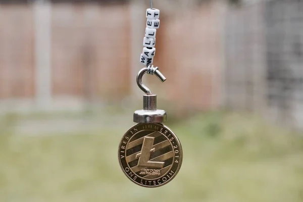 Moneta Fizyczne Metalu Litecoin Waluty Cyfrowej Pobliżu Portfel Napis — Zdjęcie stockowe