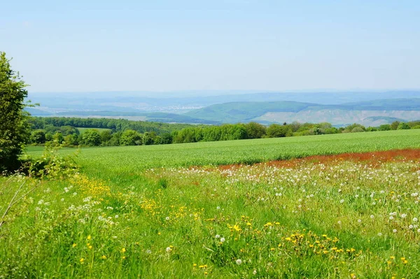 Vista Panorámica Del Paisaje Durante Día — Foto de Stock